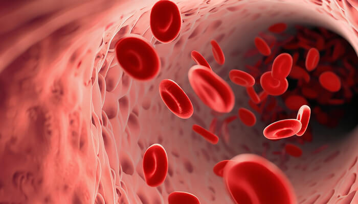 revista-rai-inmunohematologia-salud-sangre-globilos-rojos