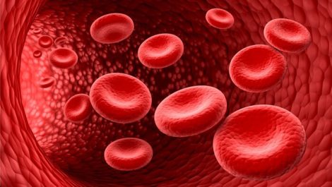 revista-rai-inmunohematologia-salud-sangre-sangre-globulos-rojos-humanos